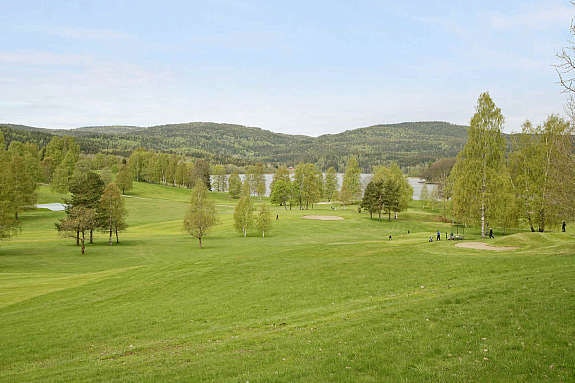 Bogstad golfbane Galleribilde