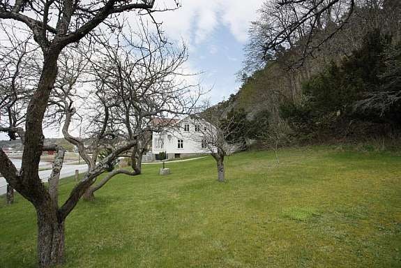 Tomten er på hele 2,5 mål Galleribilde