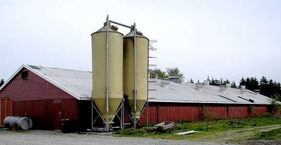 driftsbygning Galleribilde