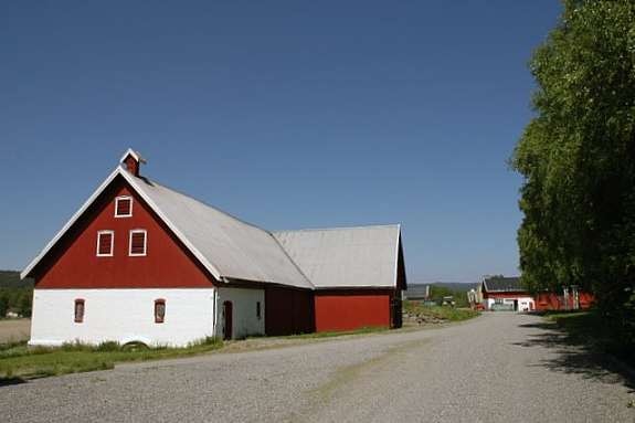 låve/stall Galleribilde