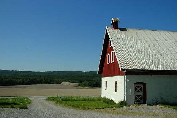 stallen med utsyn Galleribilde