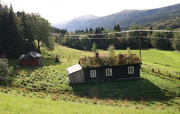 Hytta med utsikt mot sør. Liten bekk kan anes i forkant av hytta. Tomt til gjerde bak hytta. Galleribilde