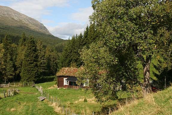 Hytta med utsikt mot nord. Tomt til høyre for hytta. Galleribilde