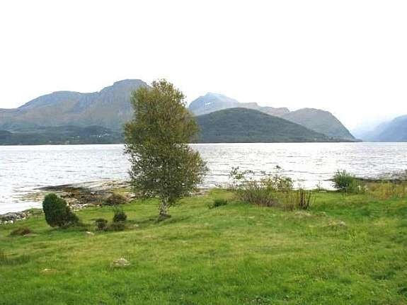 Nærområde Galleribilde