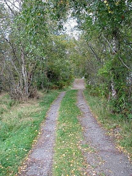 Turområde Galleribilde