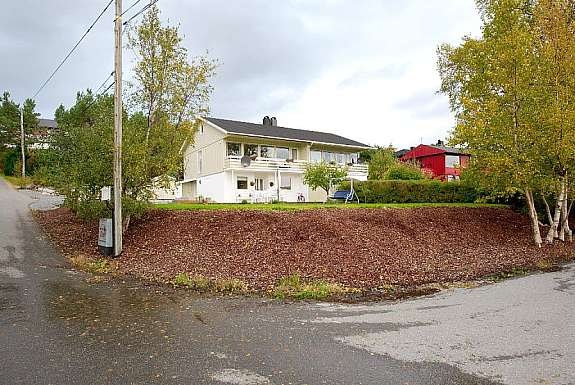 Fasade, skråning med bark Galleribilde
