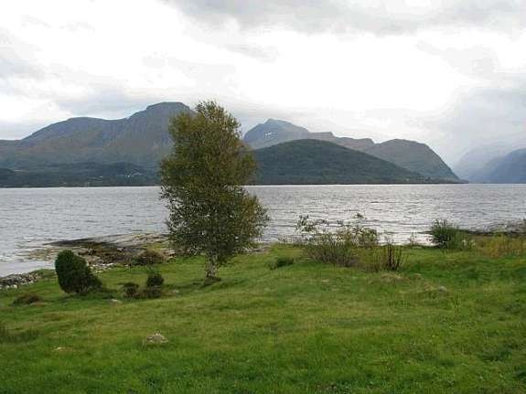 Nærområde Galleribilde