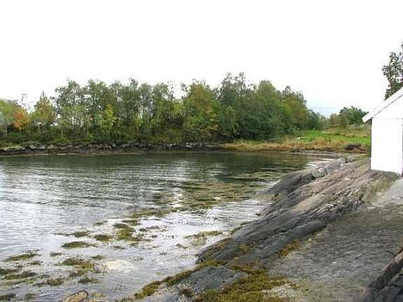 Kort veg til sjøen Galleribilde