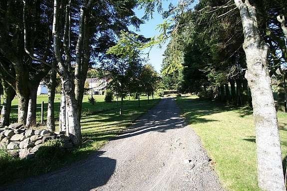 Oppkjørsel til eiendommen Galleribilde