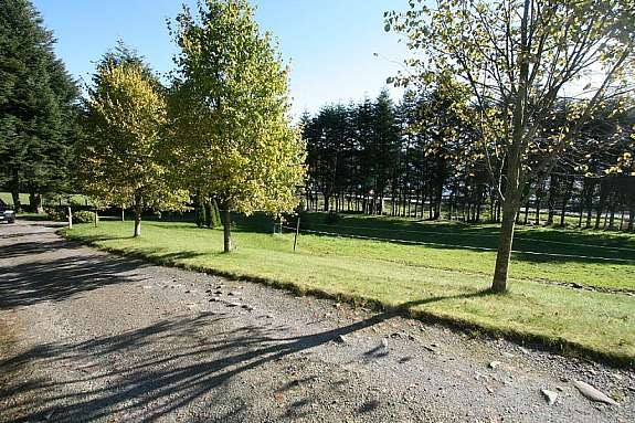 Stort beiteområde like nedenfor løe Galleribilde