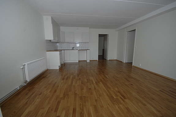 Stue m/ kjøkkenkrok Galleribilde