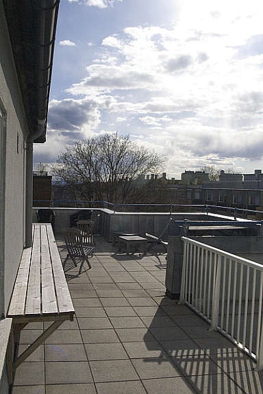 Felles takterrasse. Galleribilde