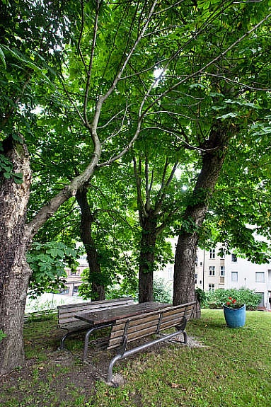 Felles fredet hage som er inngjerdet og privat. Galleribilde