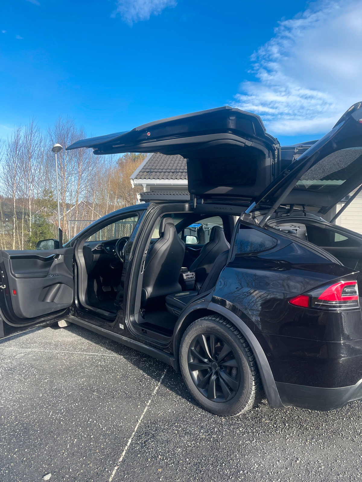 Tesla Model X 100D 4WD 5-s 3