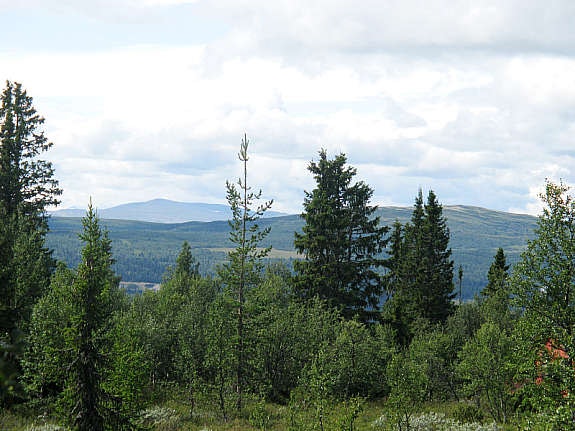 Utsikt mot vest Galleribilde