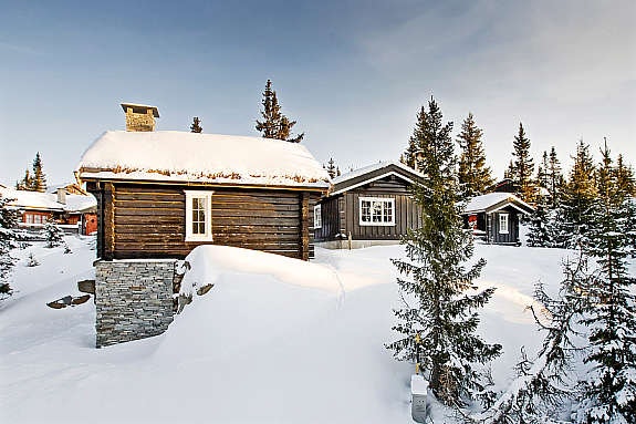 Sett fra veien Galleribilde