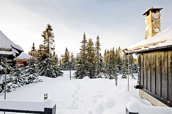 Utsikt fra terrassen Galleribilde