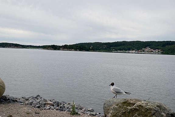Badeplass på Høysand Galleribilde