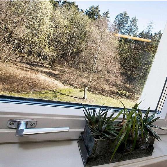 detalj_1741_1288581 Galleribilde