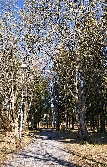 miljo_1741_1289115 Galleribilde