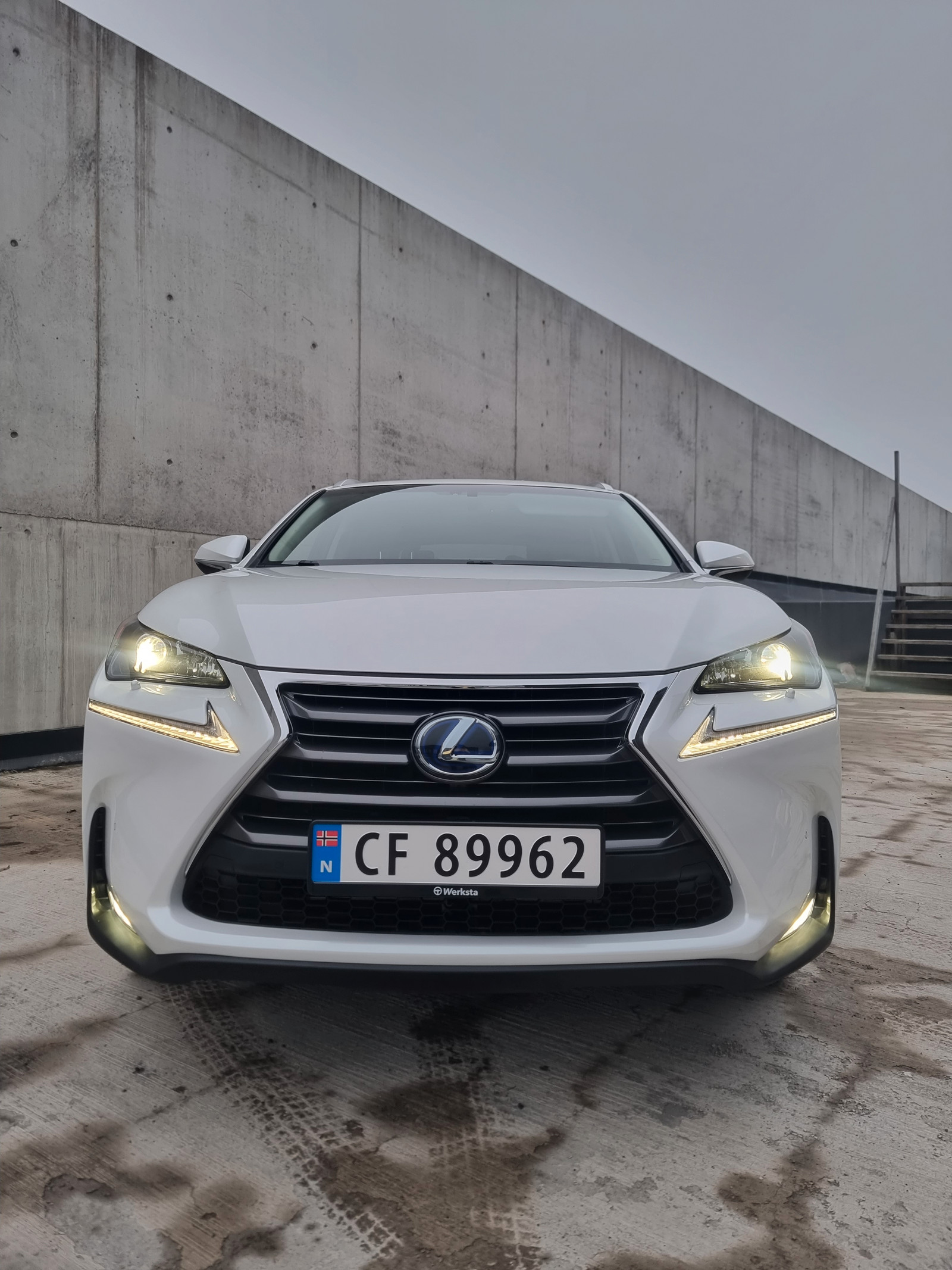 Lexus NX 300h Executive | 4x4 | Automat | H-Feste | Skinn | Navi 2