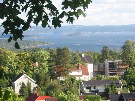 Utsikt fra kjøkken/stue/soverom Galleribilde