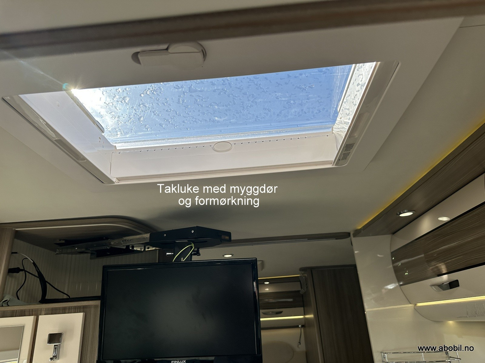 Gallery image 63