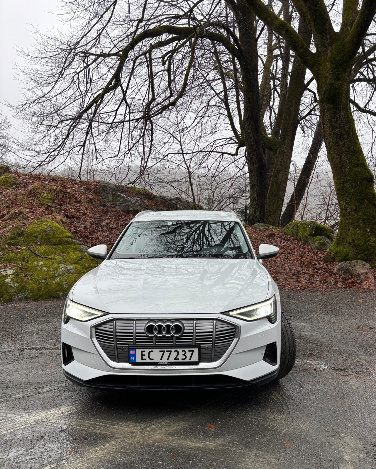 Audi e-tron 50