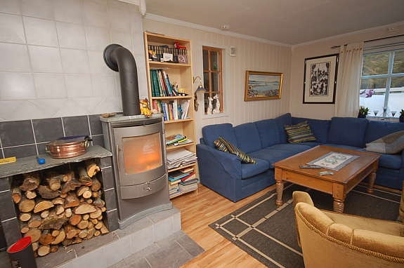 Peisovn i stue Galleribilde