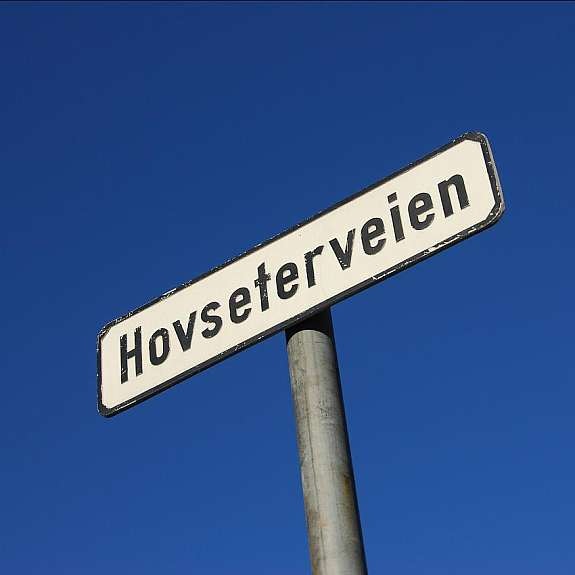 detalj 3308 252317423 Galleribilde