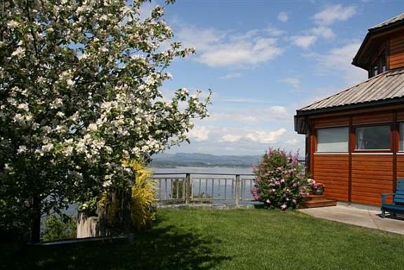 Epletre med utsikt Galleribilde