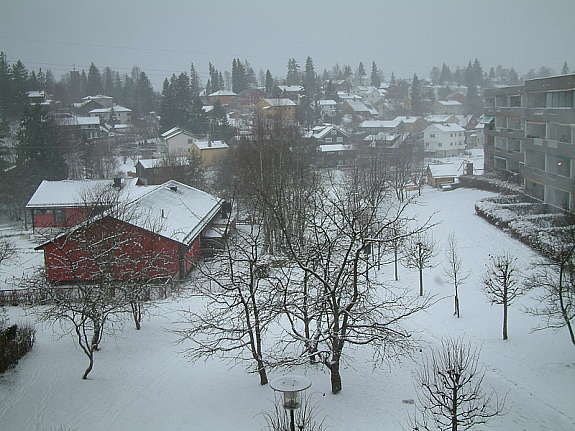utsikt vinter Galleribilde
