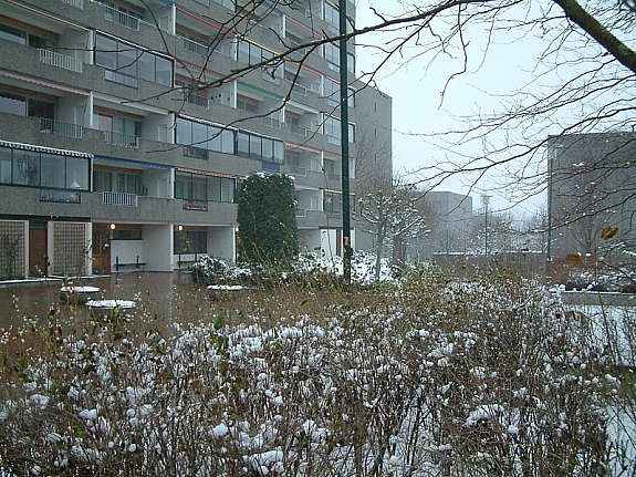 Ute vinter Galleribilde