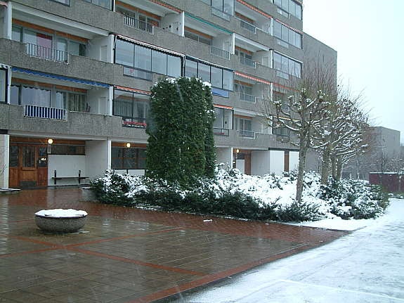 inngang vinter Galleribilde