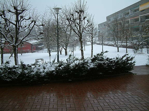 utsikt inngang vinter Galleribilde