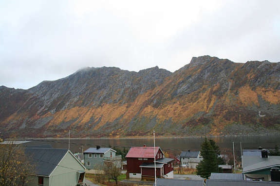 omgivelser Galleribilde