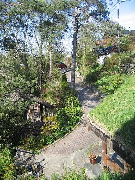 Glimt fra hage og nedkjørsel. Galleribilde