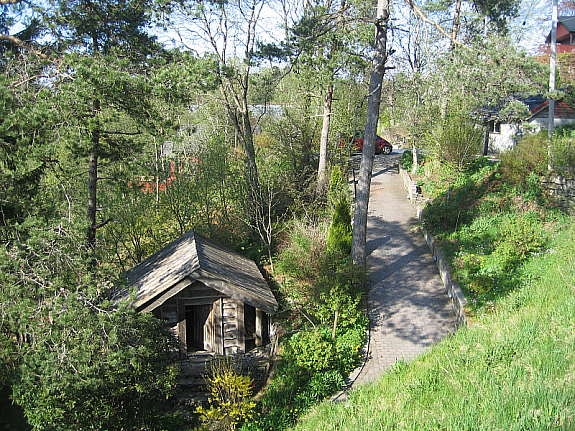 Hage og innkjørsel. Galleribilde