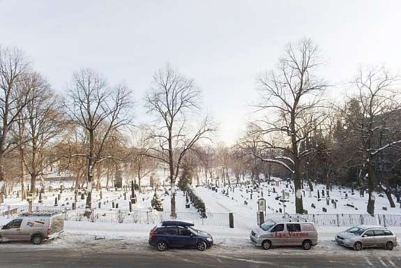 Utsikt fra leiligheten Galleribilde