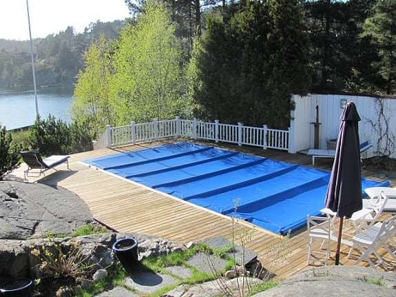 Morgenbadet i ferskvann - eller saltvann Galleribilde