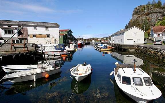 Nærområde Galleribilde