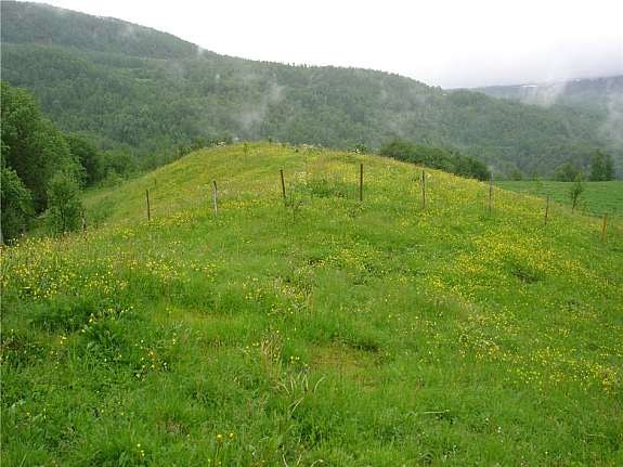 Dyrket mark Galleribilde