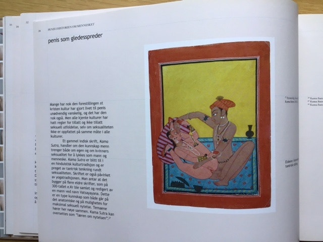 洋書 PENISATLAS Penisatlas | FINN-torget