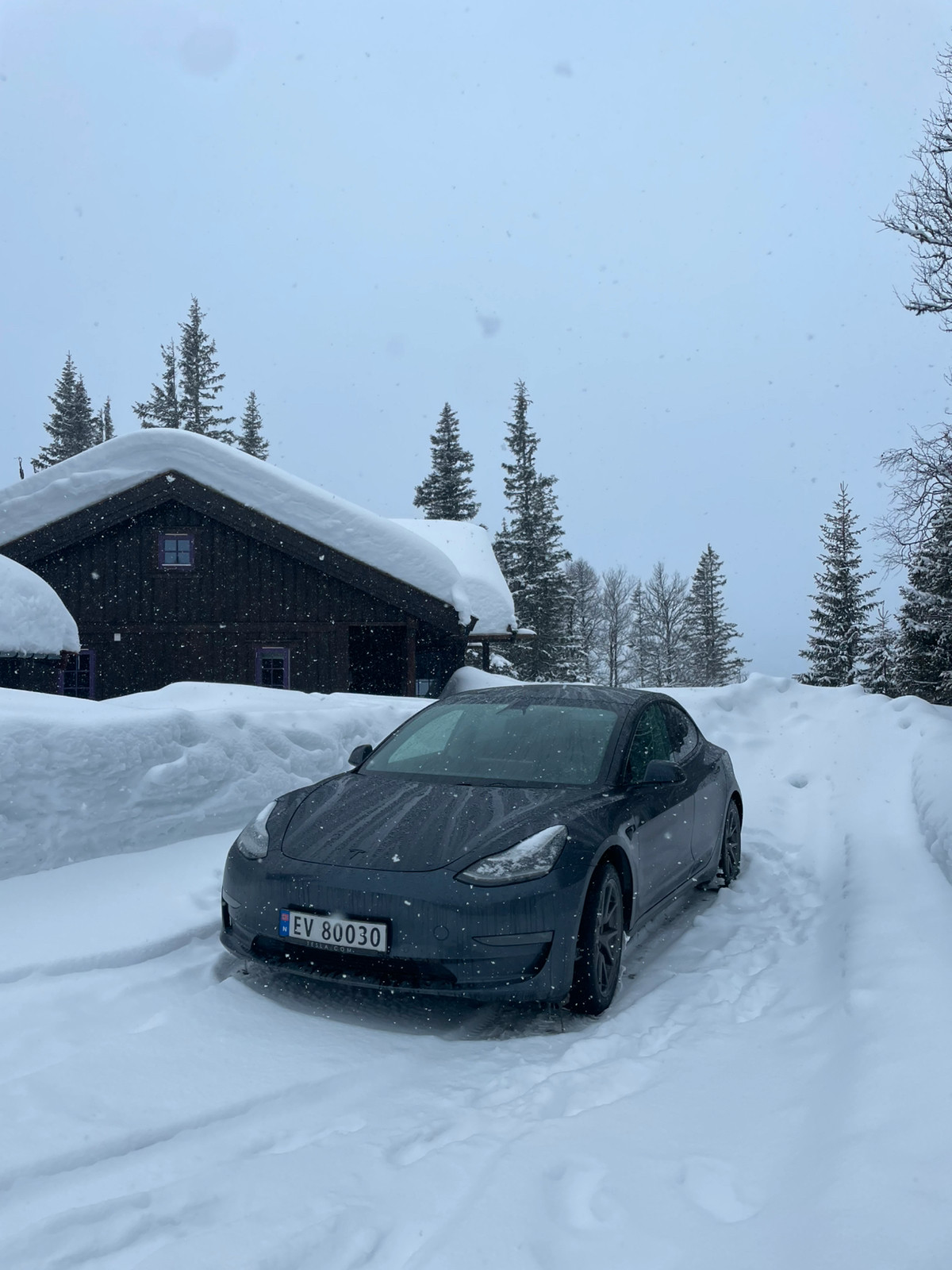 Tesla Model 3 Long Range AWD