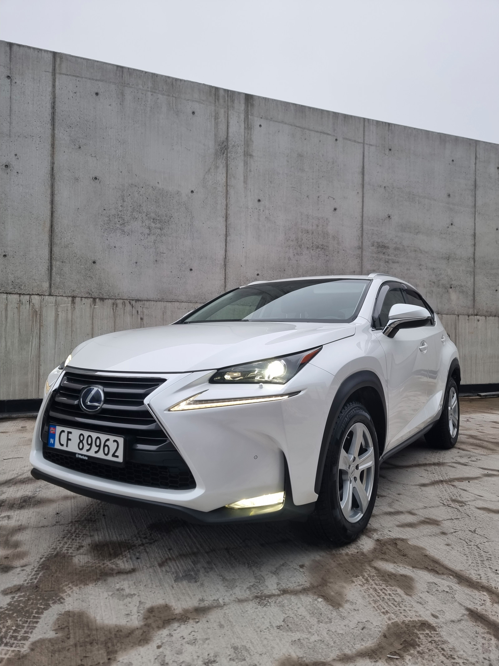 Lexus NX 300h Executive | 4x4 | Automat | H-Feste | Skinn | Navi