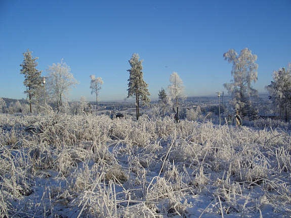 Utsikt mot nordøst Galleribilde