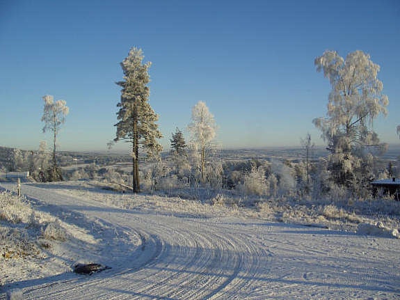 Utsikt motdøst Galleribilde