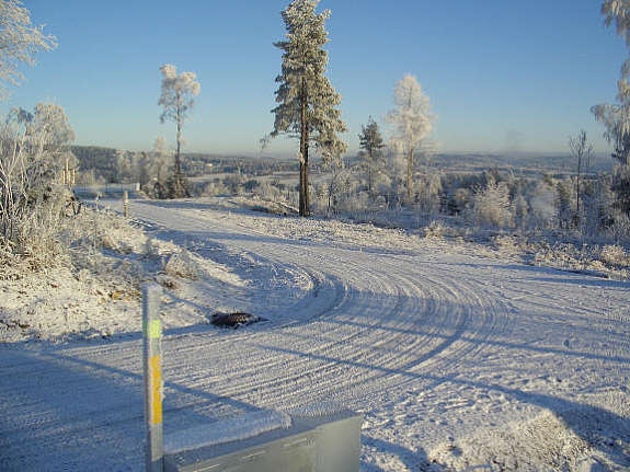 Vei/gangvei inn på feltet Galleribilde