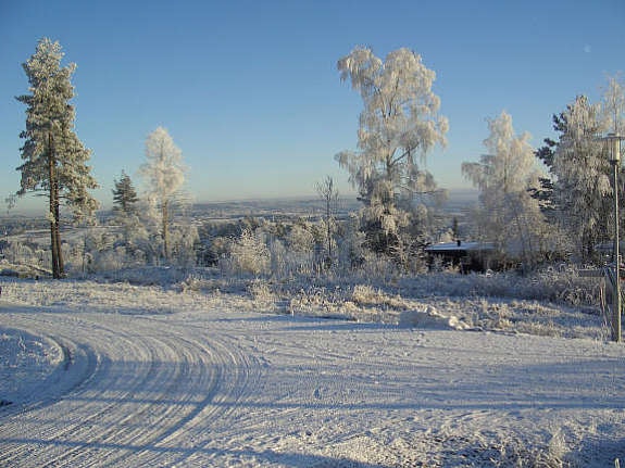 Utsikt mot øst Galleribilde
