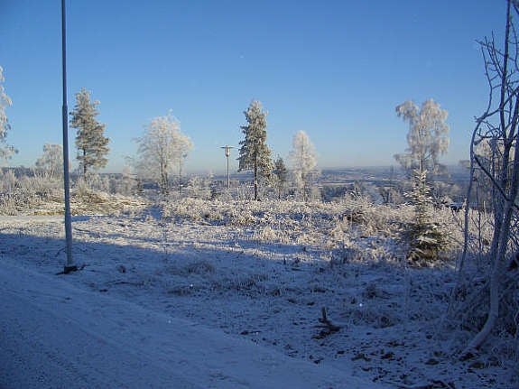 Fra veien Galleribilde